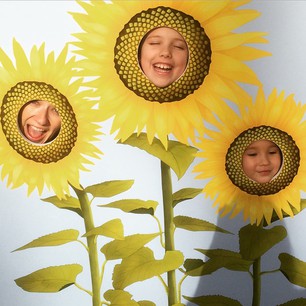  Three sunflowers ~ @sarahwu16, Eve & Abbey 