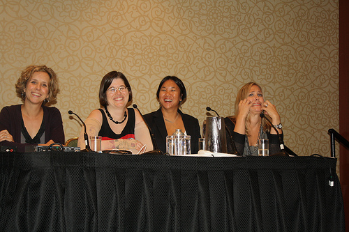 blogherpanel2010